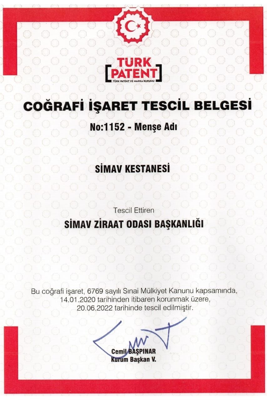 Doğal%20Gelsin%20Coğrafi%20İşaretli%20Simav%20Kestane%20Balı%20-%201.150%20gr